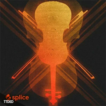 [迪斯科弦乐采样]Splice Originals Disco Strings [WAV]（878Mb）