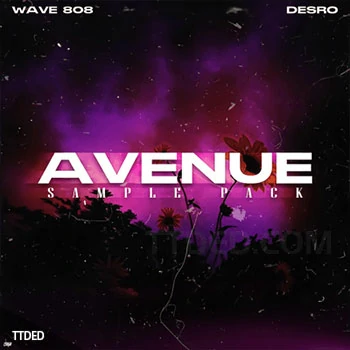 [RnB采样]Desro Avenue Sample Pack [WAV]（72Mb）