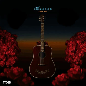 [西班牙吉他采样]Ayoludo Aurora Loop Kit [WAV]（112Mb）