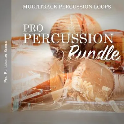 Steinberg Pro Percussion Bundle VSTSOUND