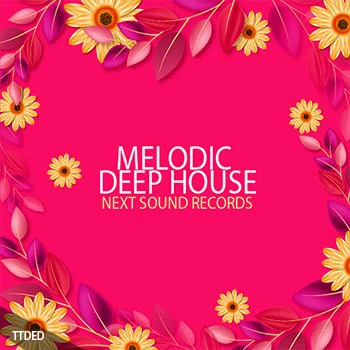 [DEEP深邃浩室Sylenth1预置Spire预置]Next Sound Records Melodic Deep House [WAV, MiDi]（259Mb）