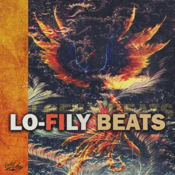 Cartel Loops Lo-Fily Beats WAV MiDi-DISCOVER