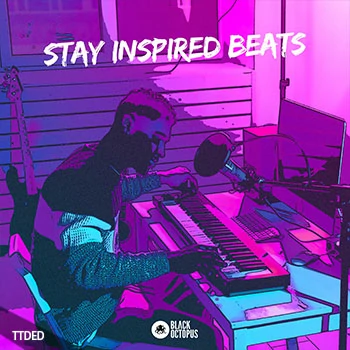 [流行电子乐浩室采样Serum预置]Black Octopus Sound Stay Inspired Beats（785Mb）