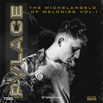 [嘻哈说唱采样]Splice Sounds Pvlace Michelangelo of Melodies Vol.1 [WAV]（170Mb）