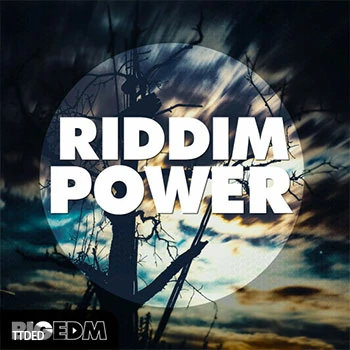 [Dubstep素材Serum预置]Big EDM Riddim Power [WAV, MiDi]（908Mb）