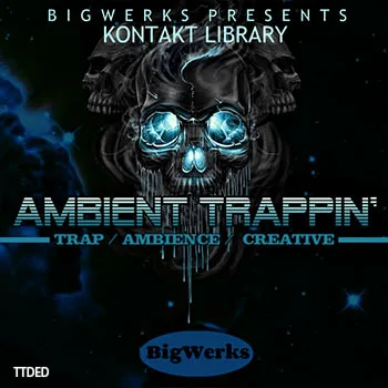 [Trap嘻哈RnB综合音源]BigWerks Ambient Trappin [KONTAKT](1.03Gb)