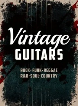 Xtended Series Vintage Guitars KONTAKT-MAGNETRiXX