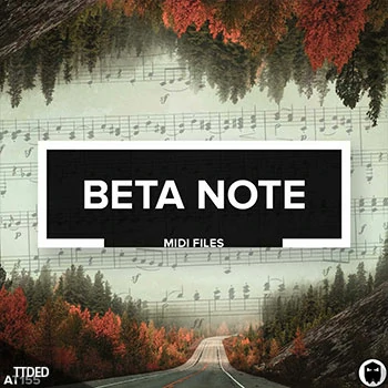 [MiDi素材电子科技浩室]Audiotent Beta Note（8Mb）