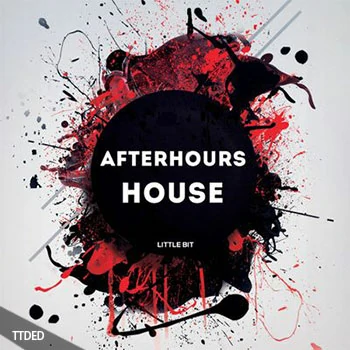 [深邃科技浩室采样]Little Bit Afterhours House [WAV]（250Mb）
