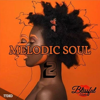 [灵魂RnB采样]Blissful Audio Melodic Soul 2 [WAV]（105Mb）