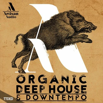 [深邃浩室慢摇采样]Artisan Audio Organic Deep House and Downtempo [WAV]（574Mb）