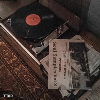 [灵魂RnB陷阱采样]Cashmere Brown Rare Soul Samples Vol.3 [WAV]（55Mb）