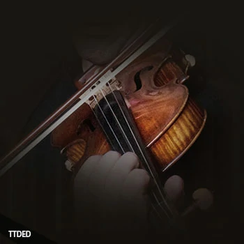 [影视小提琴音源]Native Instruments Guarneri Violin v1.0.0 [KONTAKT]（22.77Gb）