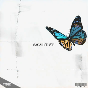 [Trap陷阱采样]Sacaii x Trvpyyy LIL SACHI n TRVP [WAV]（11Mb）