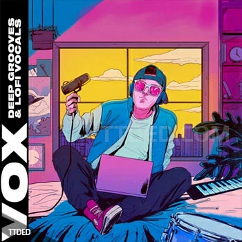 [灵魂RnB低保真人声采样]VOX Deep Grooves and Lofi Vocals [WAV]（658Mb）