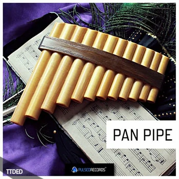 [印第安排箫采样]Pulsed Records World Series Pan Pipe [WAV]（118Mb）