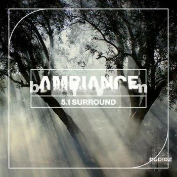 5.1环绕环境声音 – Blastwave FX Ambiance 5.1 Surround WAV