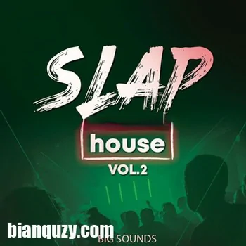 Big Sounds Slap House Volume 2 MULTi-FORMAT-DISCOVER