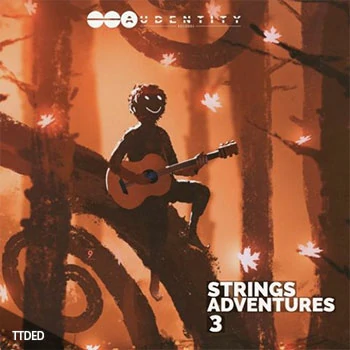 [流行氛围吉他LOOP采样]Audentity Records Strings Adventures Vol.3 [WAV]（176Mb）