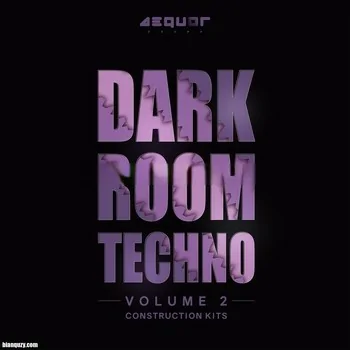 Aequor Sound Dark Room Techno 2 WAV MIDI Vital Presets-DECiBEL