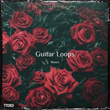 [嘻哈陷阱RnB吉他采样]BK Andersen Guitar Loops Roses [WAV]（211Mb）