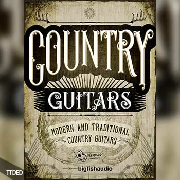 [乡村吉他素材音源]Dieguis Productions and Big Fish Audio Country Guitars [KONTAKT多格式]（8.3Gb）