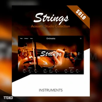 [弦乐独奏音源]Muze Strings Solo [KONTAKT]（11.4Gb）