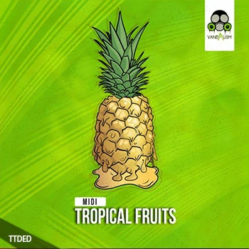 [MiDi素材热带舞曲]Vandalism Tropical Fruits（3Mb）