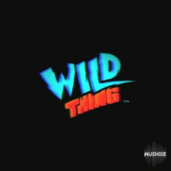 NoLyrics Wild Thing WAV MIDI-DECiBEL