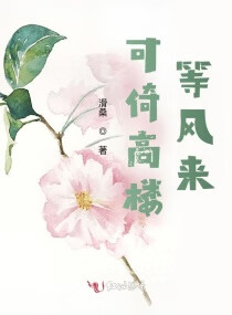 可倚高楼等风来