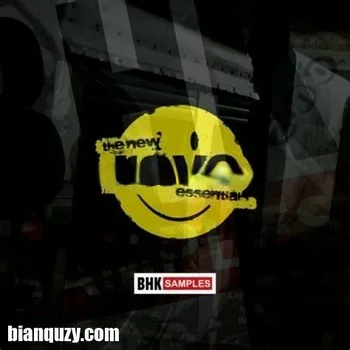BHK Samples The New Rave Essentials WAV REX2-DECiBEL
