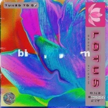 Based1 and Pilgrim Lotus Vol. 3 (One Shot Kit) WAV