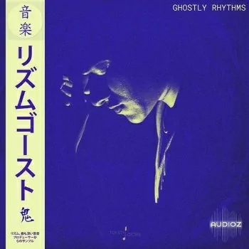 Touch Loops Ghostly Rhythms WAV-DECiBEL