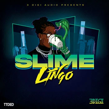 [RnB采样]3Digi Audio Slime Lingo [WAV]（42Mb）