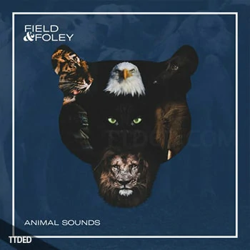 [真实动物FX采样]Field and Foley Animal Sounds [WAV]（273Mb）