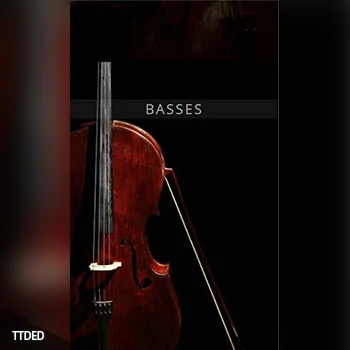 [欧洲弦乐Bass]Auddict United Strings of Europe Basses [KONTAKT]（2.81Gb）