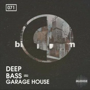 Bingoshakerz Deep Bass and Garage House MULTiFORMAT-DECiBEL