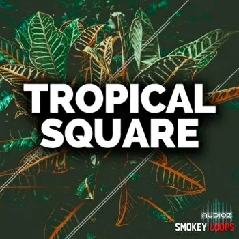 Smokey Loops Tropical Square WAV MiDi