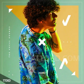[流行RnB人声采样]Diginoiz The Vocal Sounds [WAV]（124Mb）