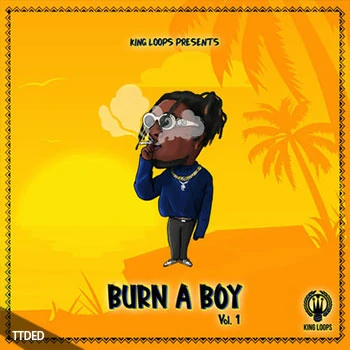 [热带休闲舞曲素材]King Loops Burn A Boy Volume 1 [WAV, MiDi]（517Mb）