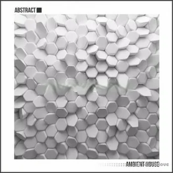 Abstract Ambient House [WAV]