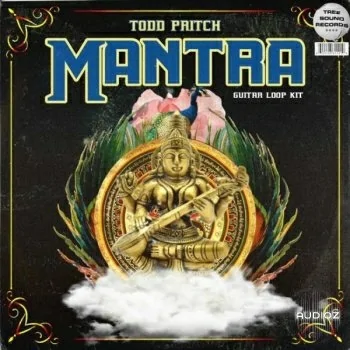 Todd Pritch Mantra Guitar Loop Kit WAV-DECiBEL