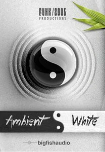 黑暗环境音色 – Big Fish Audio and Funk Soul Productions Ambient Black KONTAKT