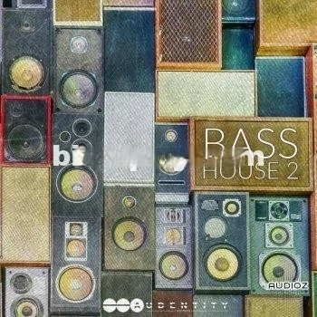 Audentity Records Bass House Vol 2 MULTiFORMAT-DECiBEL