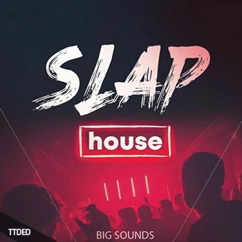 [House浩室素材Serum预置]Big Sounds Slap House [WAV, MiDi]（421Mb）