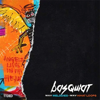 [嘻哈陷阱采样]Canary Julz Basquiat (Loop Pack) [WAV]（129Mb）