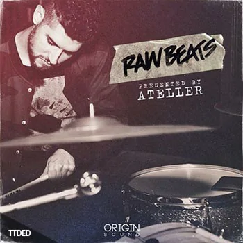 [灵魂节奏布鲁斯Beats采样]Origin Sound Raw Beats [WAV]（300Mb）