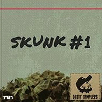 [爵士嘻哈布鲁斯采样]Dusty Samplers Skunk 1 [WAV]（174Mb）