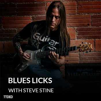 [教程]GuitarZoom Blues Licks Limited Edition with Steve Stine 2020（6Mb）