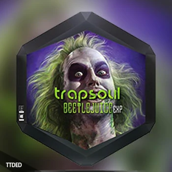 [TrapSoul VST扩展]Infinit Essentials Beetlejuice Expansion for TrapSoul VST（131Mb）